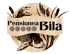 logo-pensiuneabila